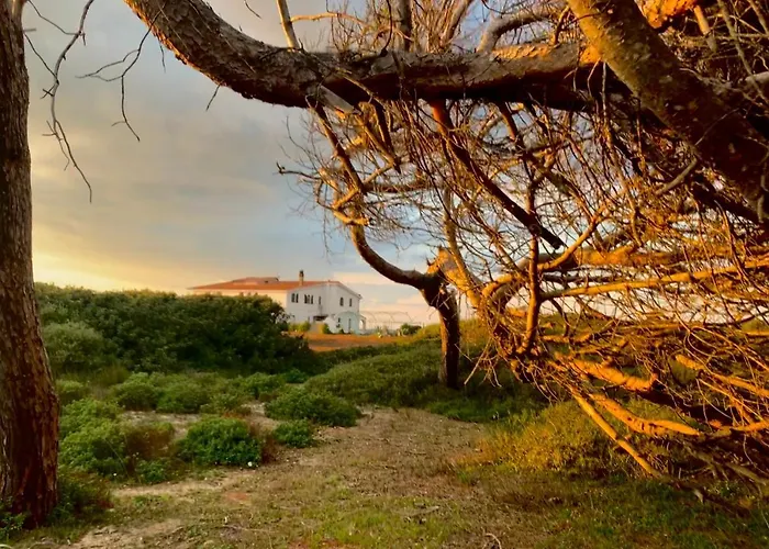 Il Canneto Hotel Arborea photo