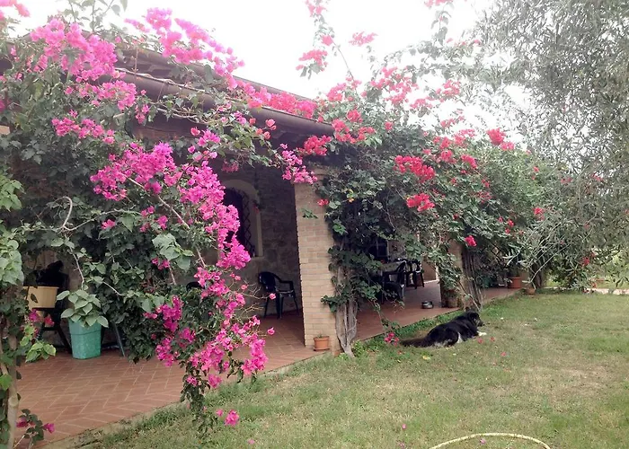 Casa Santina Villa Girasole photo