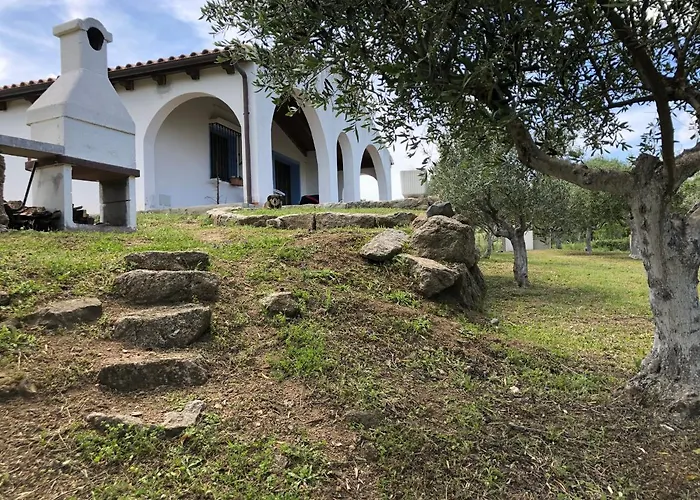foto di Villa La casa nell'oliveto Berchidda