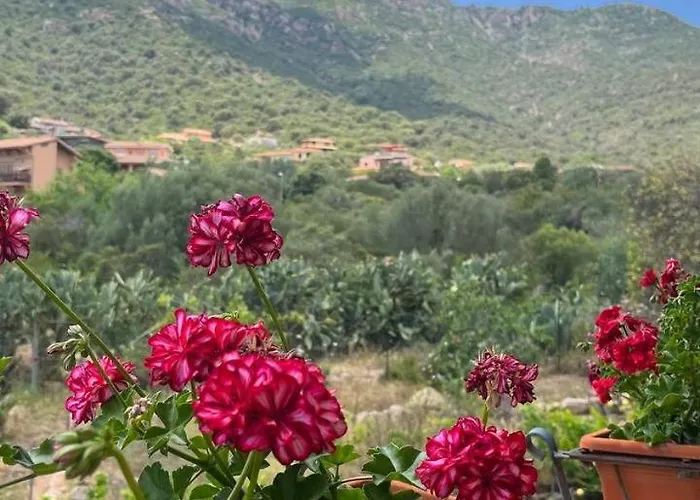 La Quercia Bed & Breakfast Poggio dei Pini photo