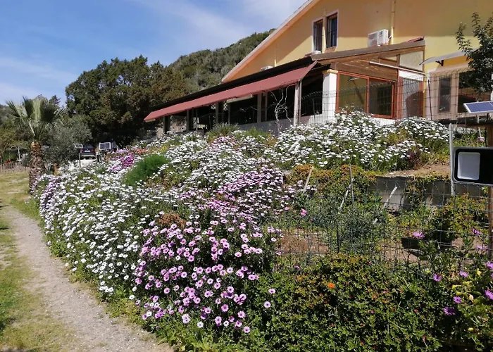 Il Lentischio Hotel Cala Sapone photo