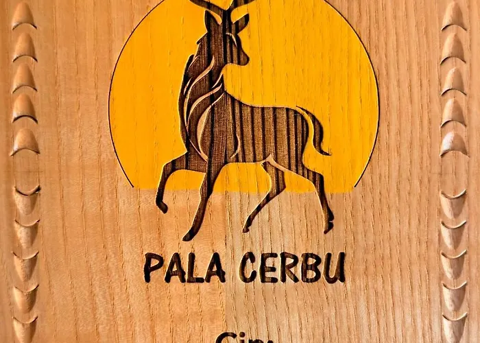 Hotel Pala Cerbu Mogoro foto