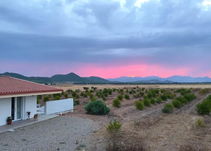 Countryside Guest Accomodation Near Cagliari Villaspeciosa foto