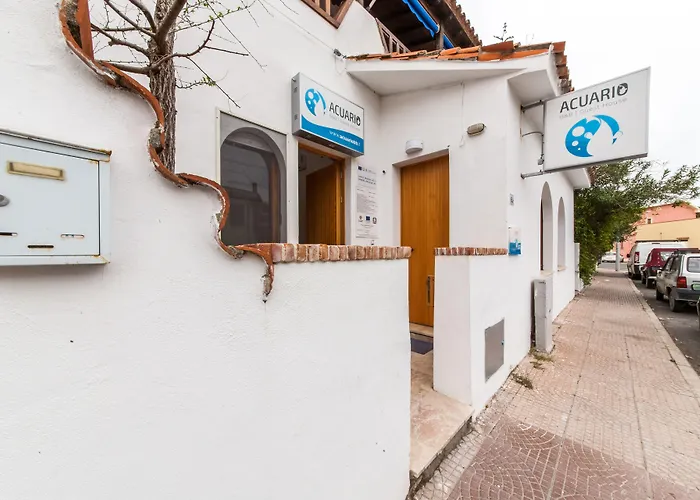 Фото Guest House Acuario Торре-Гранде